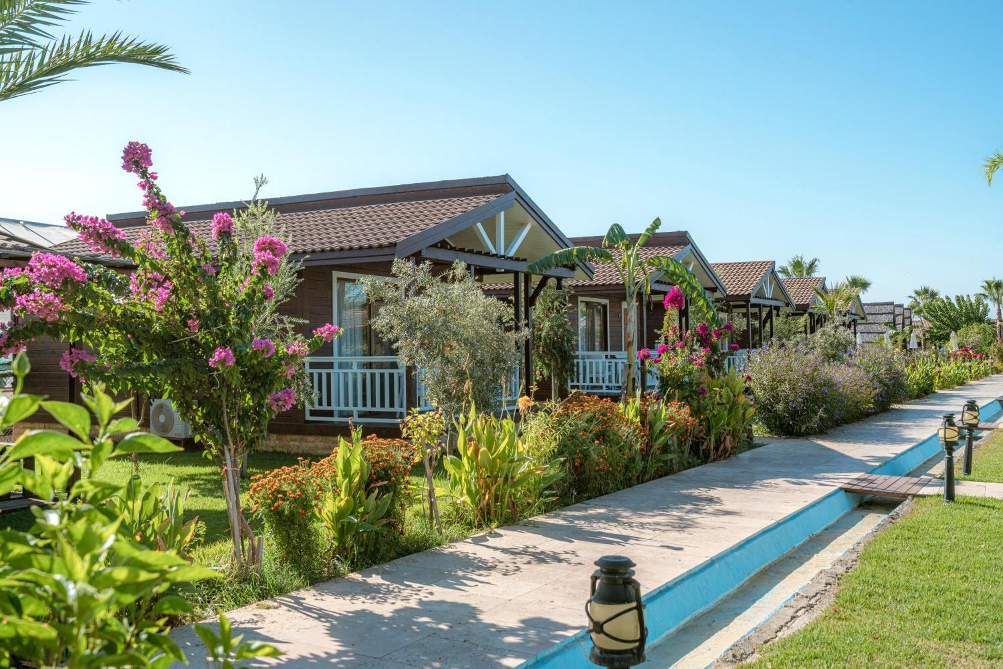 Sedir Park - Beach Bungalow Kargicak  Exteriör bild