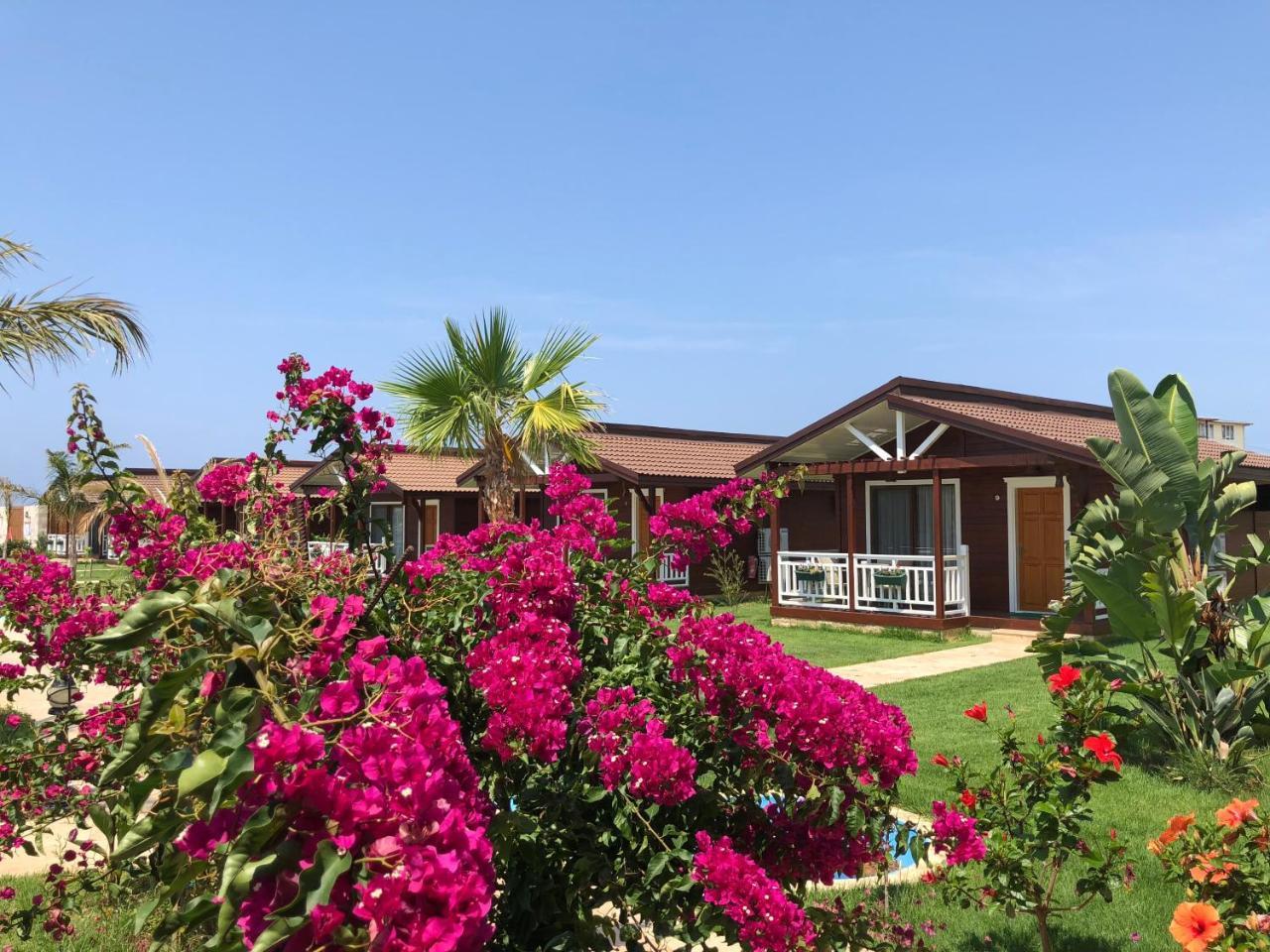 Sedir Park - Beach Bungalow Kargicak  Exteriör bild